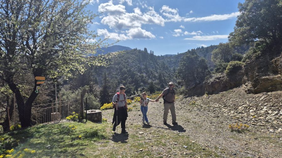טרק המנליון